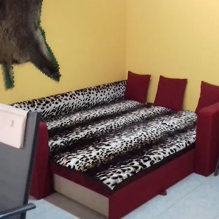 Toparti Vendeghaz